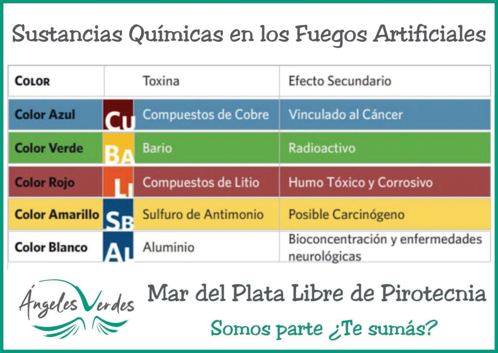 Fin de Año y Pirotecnia: ¿Conocemos las problemáticas que causa su utilización?