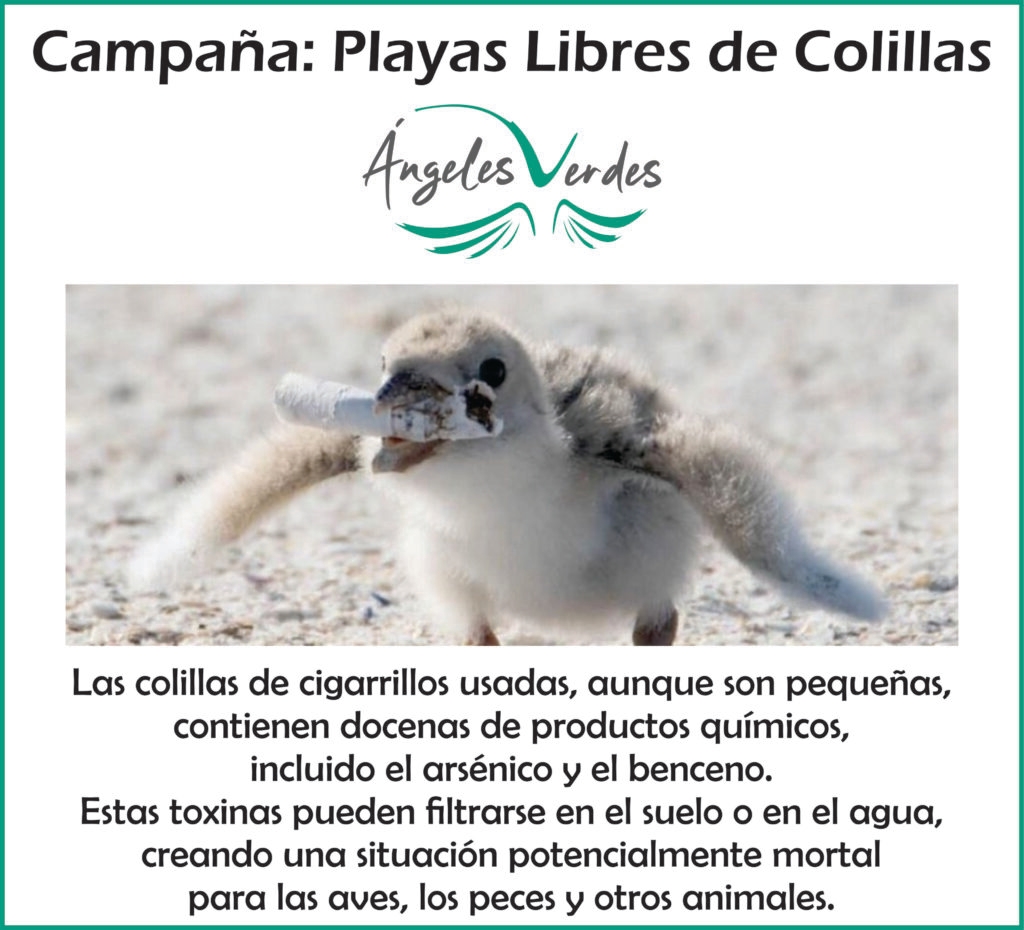 Problemáticas ambientales de la contaminación por colillas de cigarrillo