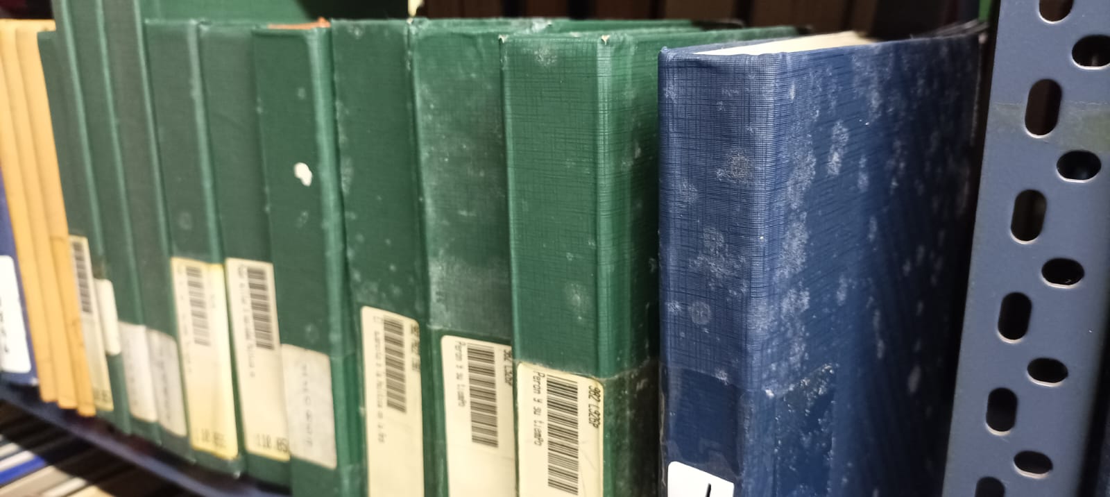 Preocupación por el estado de la Biblioteca Municipal