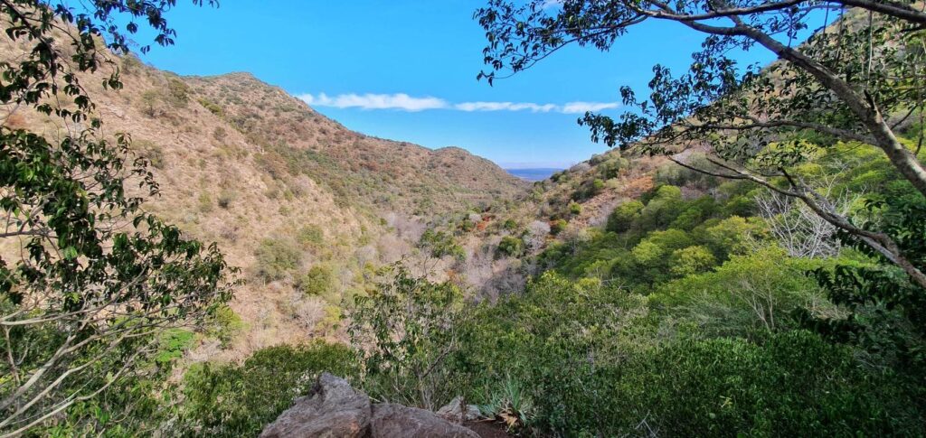 Eco turismo: cómo organizar unas vacaciones sostenibles