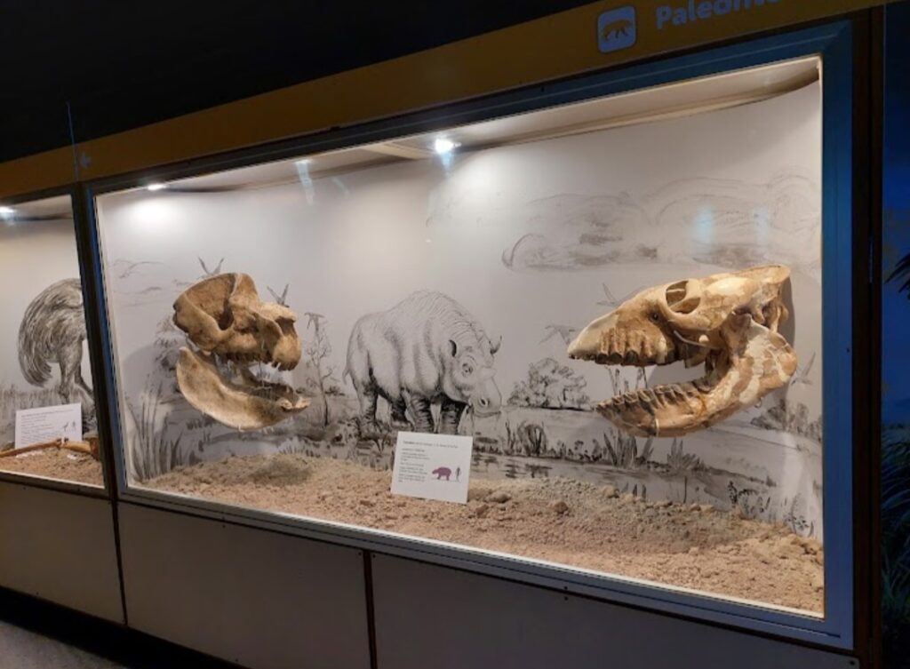 Museo de Ciencias Naturales