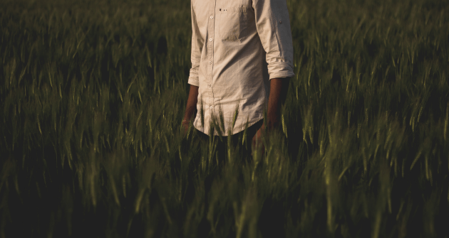 La UNMdP organiza una muestra fotográfica colaborativa sobre el cordón frutihortícola