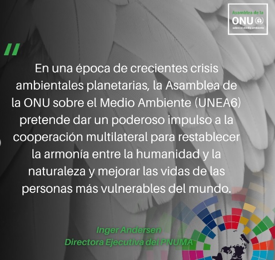 Sexta Asamblea por el Medio Ambiente