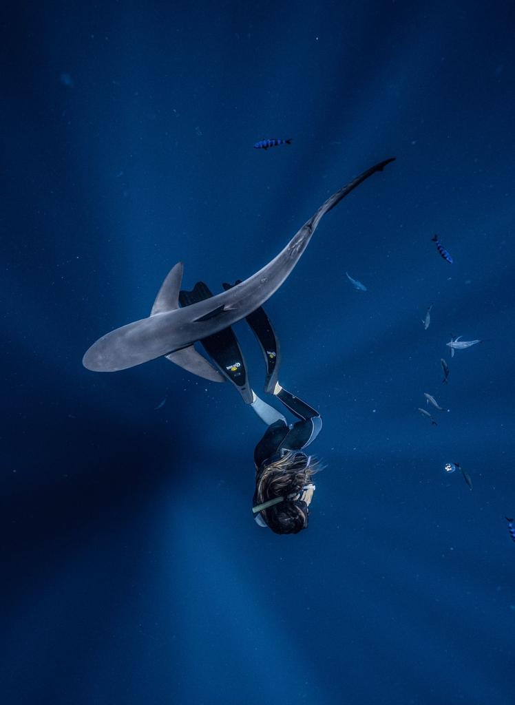 Océano Martina: proteccionista del océano y de los tiburones