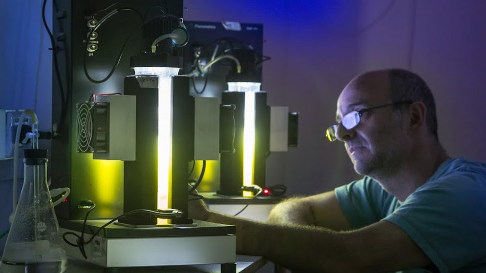 YPF y CONICET desarrollan dispositivos que purifican el aire atmosférico en base a microalgas