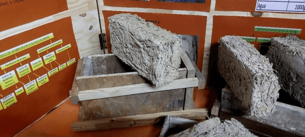 Estudiantes de la Técnica 2 fabricaron ladrillos de bambú