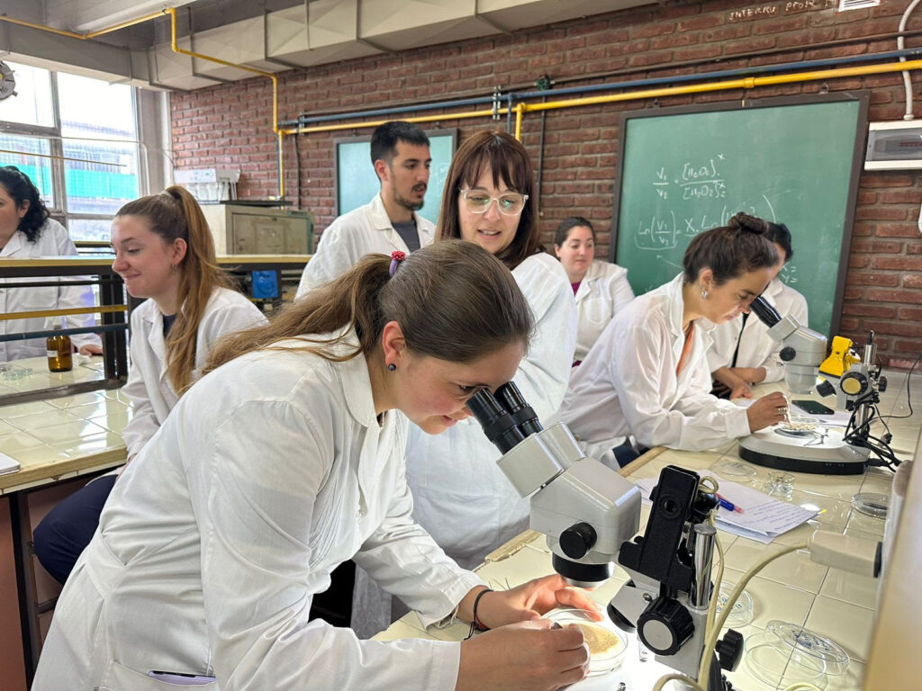 Conicet, microplásticos