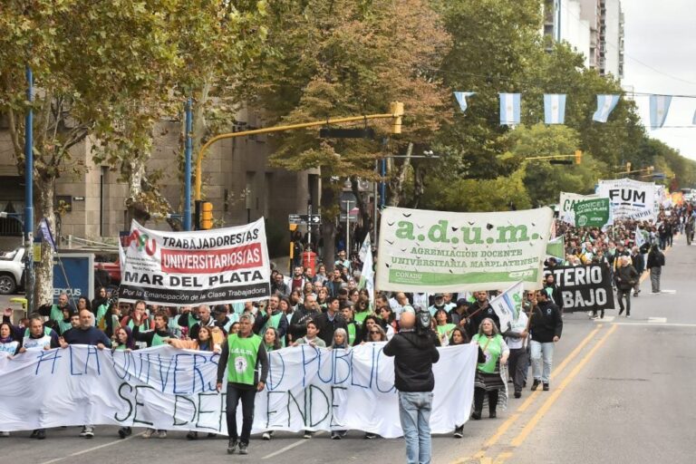 docentes-universitarios-en-lucha