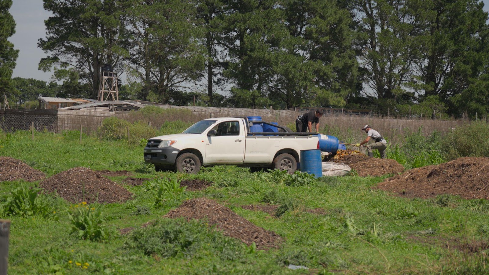 cooperativa-regenera-mar-del-plata