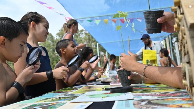 escuelas-abiertas-en-verano-mar-del-plata-2026