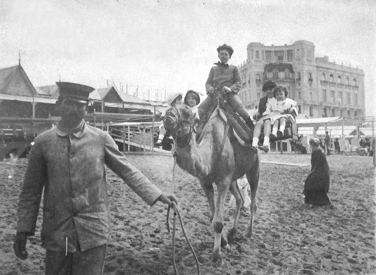 camellos-en-playa-bristol-mar-del-plata