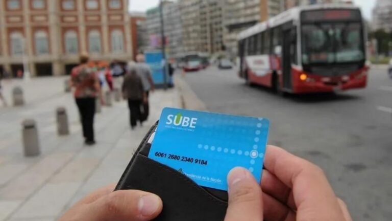 boleto-escolar-mar-del-plata-2026