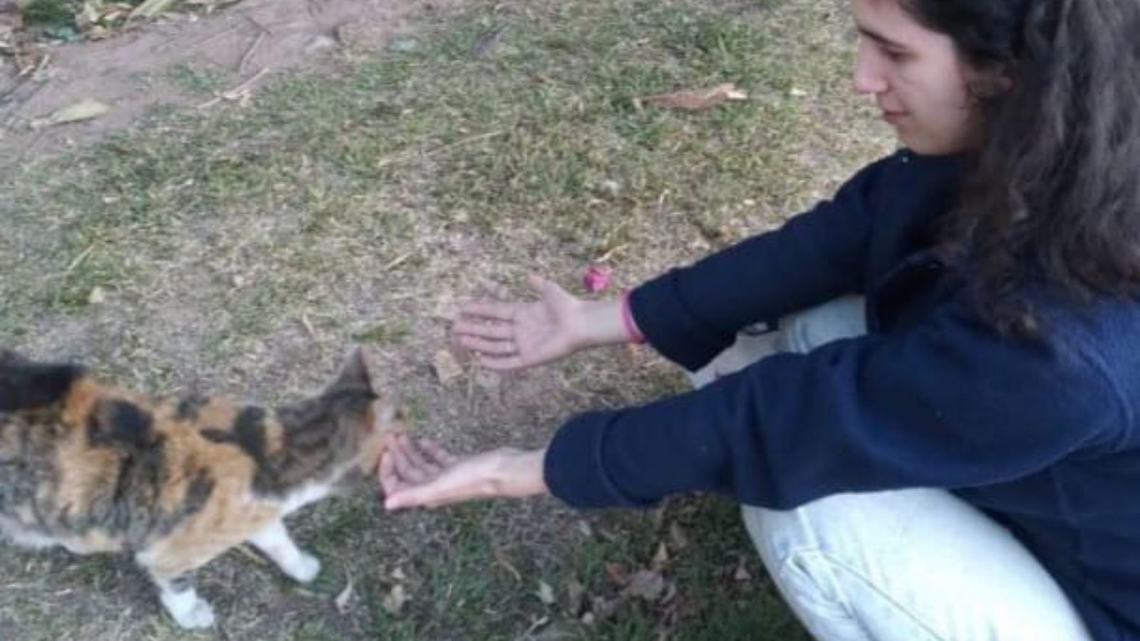 los-docentes-se-capacitan-en-therians