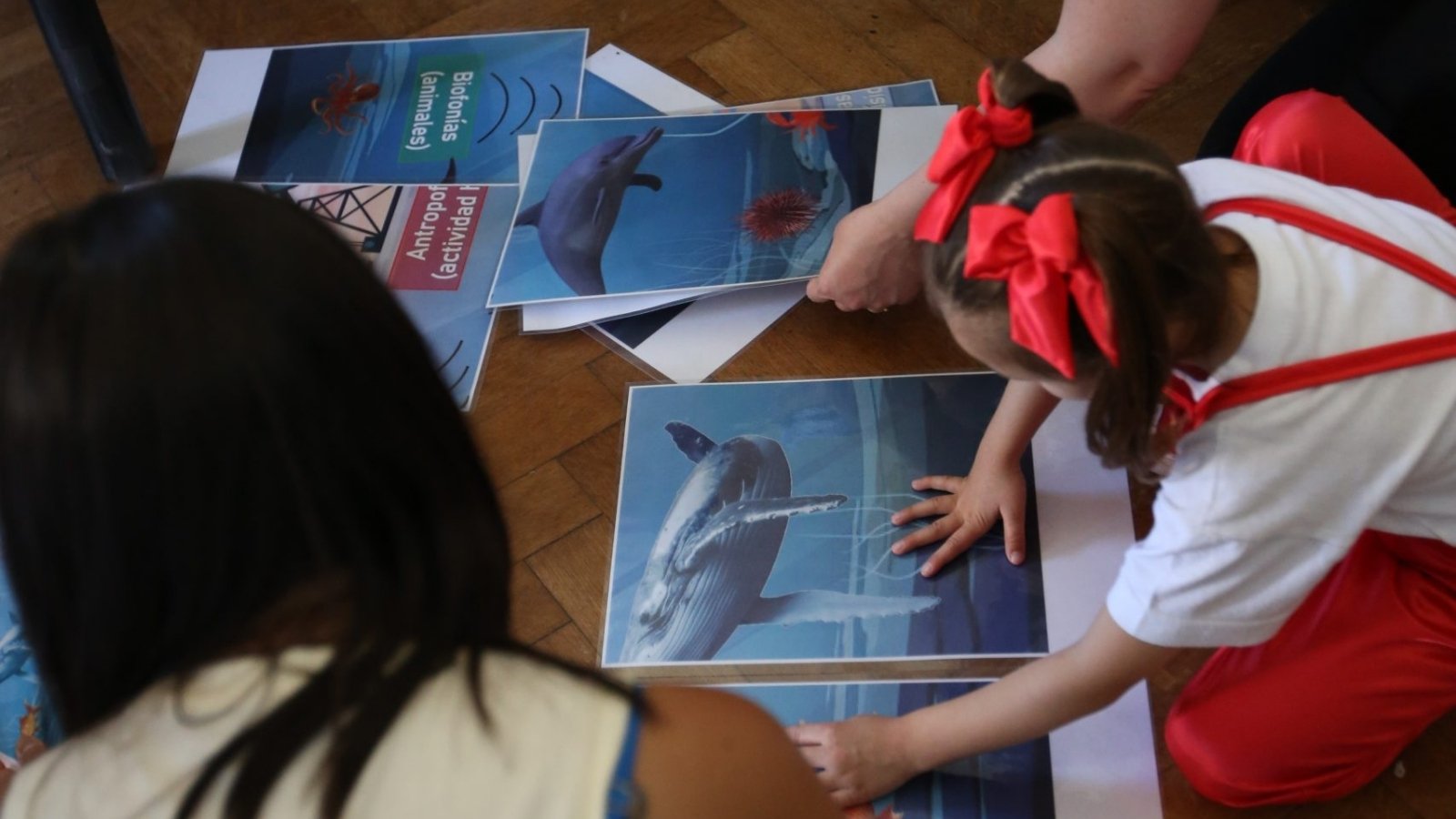 encuentro-con-nuestra-ciencia-mar-del-plata-conicet
