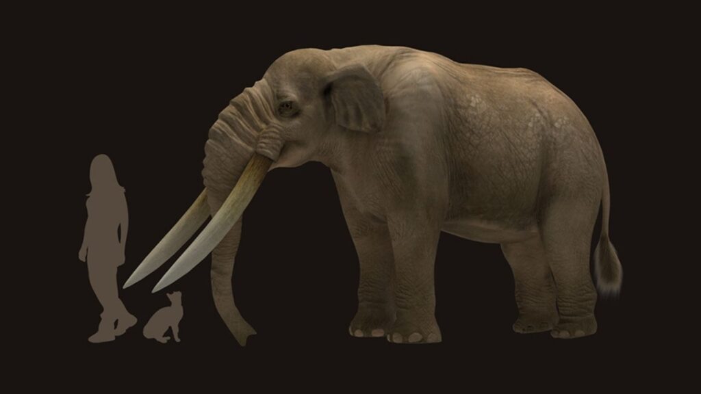 estudio-conicet-primeros-pobladores-fueron-cazadores-de-megafauna