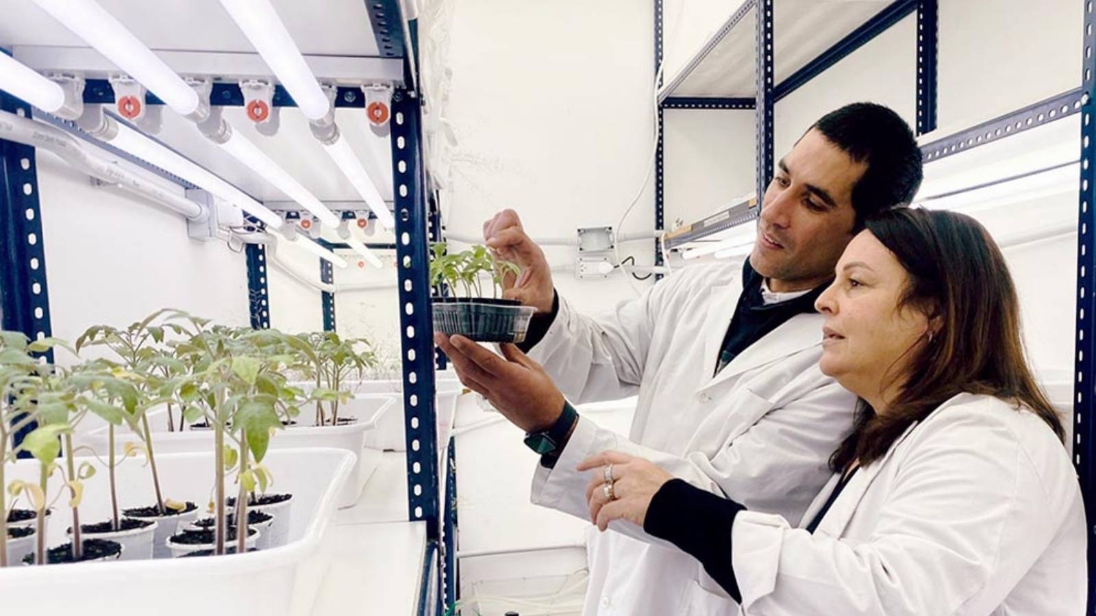 unmdp-proyecto-transforma-residuos-de-cafe-en-bioinsumos