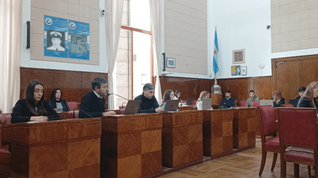 comision-de-educacion-hcd-general-pueyrredon-zonas-escolares-seguras