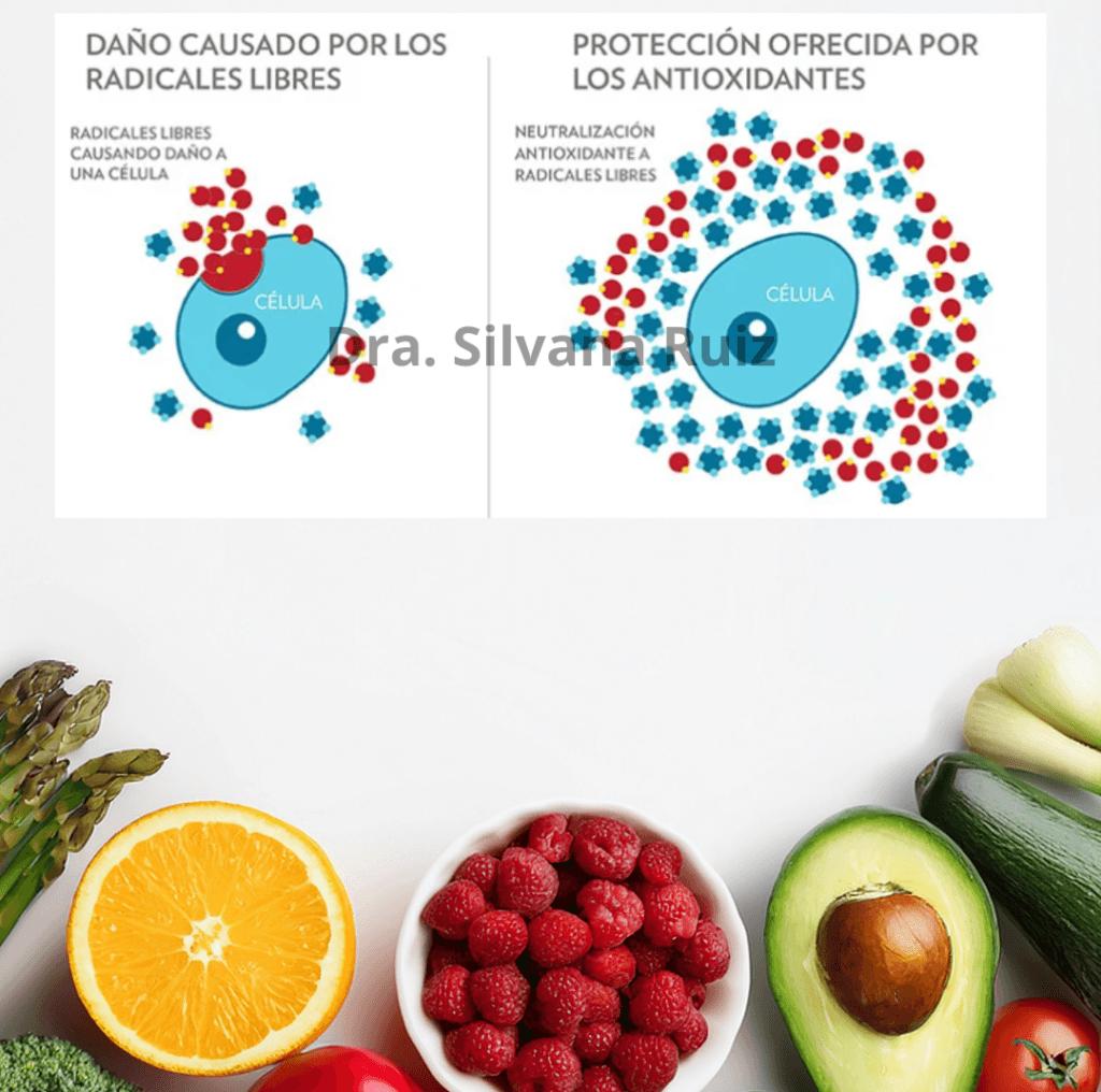 alimentos-funcionales-que-son-y-por-que-incorporarlos