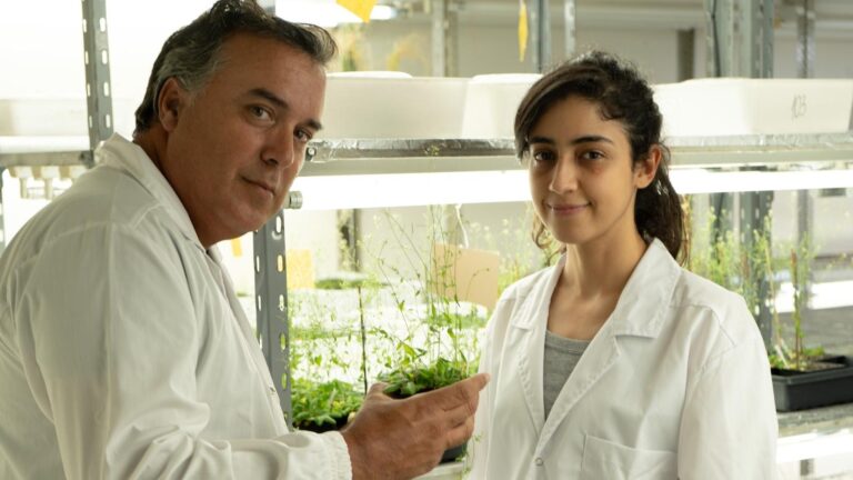 conicet-bacteria-contra-la-sequia