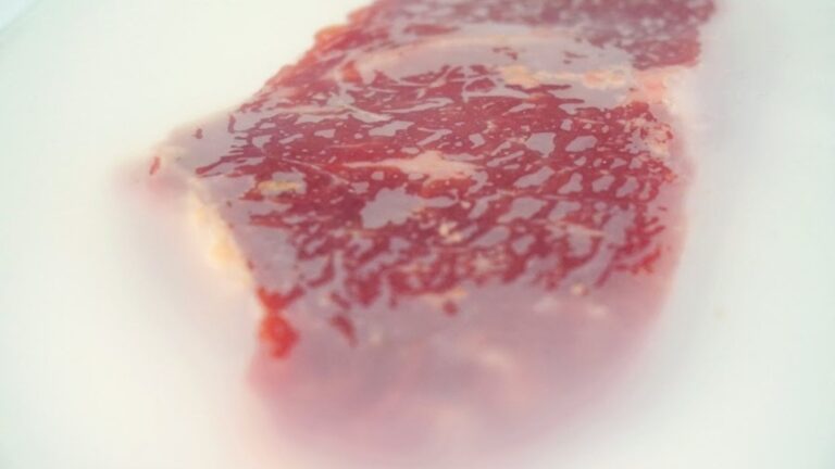 envase-biodegradable-que-conserva-calidad-de-la-carne-vacuna