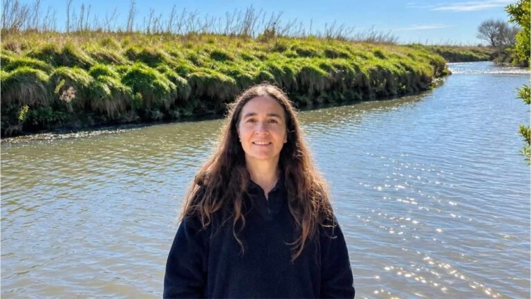 exoneracion-virginia-aparicio-investigadora-inta-agroquimicos-en-argentina