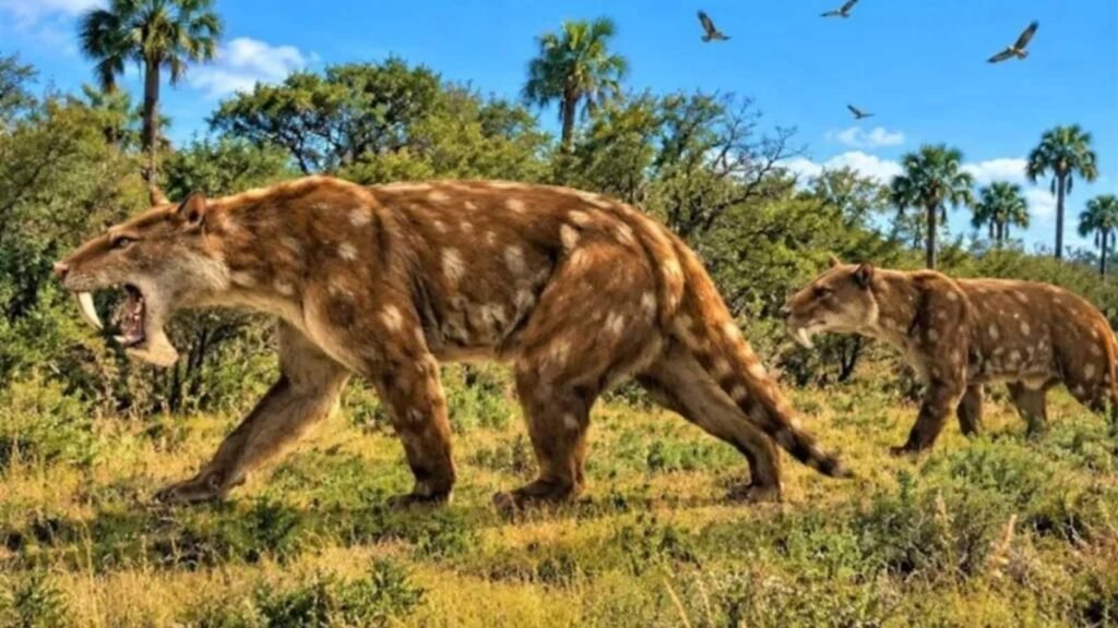 hallan-en-miramar-nueva-especie-de-depredador